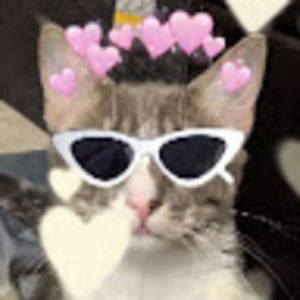 Meet your Posher, Ava